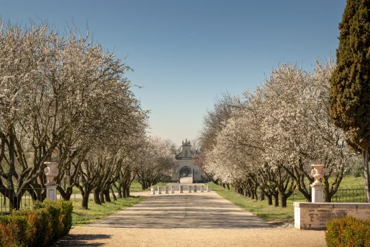 Quinta del Duque del Arco #jardineshistoricos #jardinbarroco #baroquegarden #Madrid #jardin #jardineria #paisajismo #garden #gardening #landscaping #historicalgarden #spring #blossom #Spain